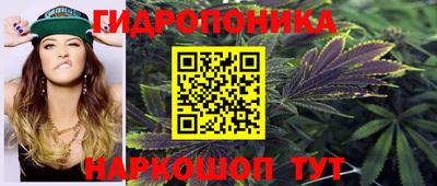 кокс Бийск