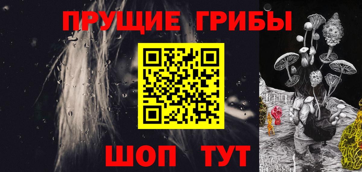 Псилоцибиновые грибы Psilocybe  Псилоцибиновые грибы Psilocybe  Жигулёвск 